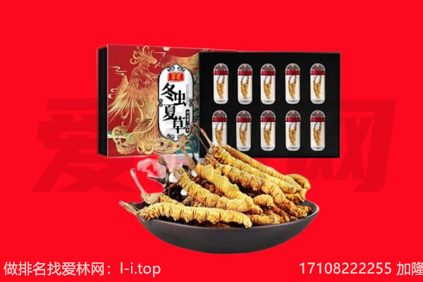 尤溪县回收虫草.jpg